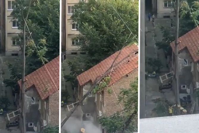 Seče drvo koje pada na kuću Seče drvo koje pada na kuću