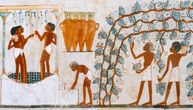 Stare su 5.000 godina i nikad nisu otvorene: Otkrivene zapečaćene posude sa ostacima vina iz Starog Egipta