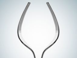 viljuske optička iluzija test