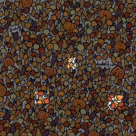 Skrivalica tri ptice