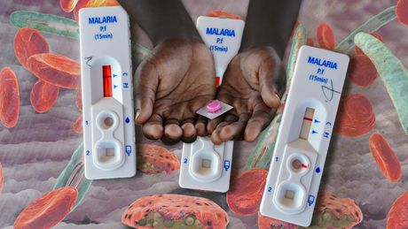 Afrika malarija testovi lek
