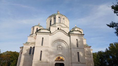Oplenačka berba, Topola, Oplenac, Šumadija