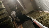 Sušili marihuanu u napuštenom objektu pored Save: Zaplenjeno 1,2 kilograma droge