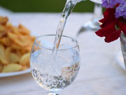 Kisela voda, mineralna