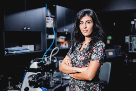 Dr Danica Pavlović Dr Danica Pavlović