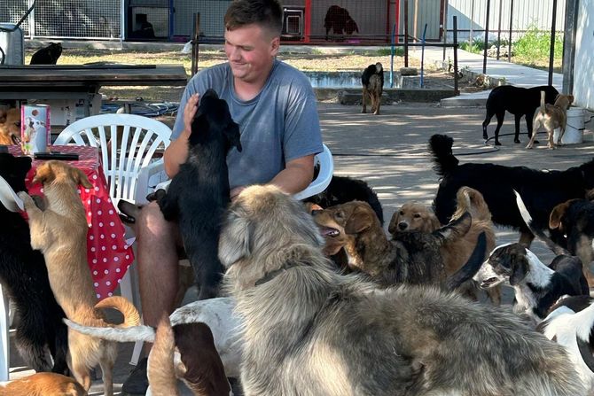 Nikola Stojković, vlasnik azila Animal rescue Nikola