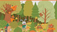Rekord je 20 sekundi: Pronađite 15 pečuraka u šumi na ovoj jesenjoj skrivalici