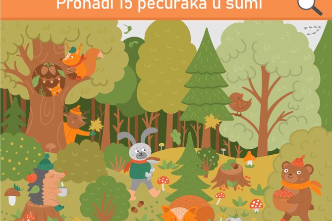 Skrivalica, pečurke u šumi