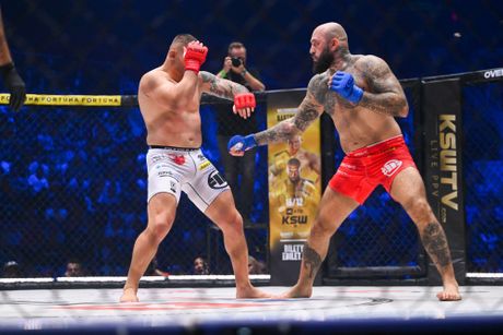 Darko Stošić  Michal Martínek