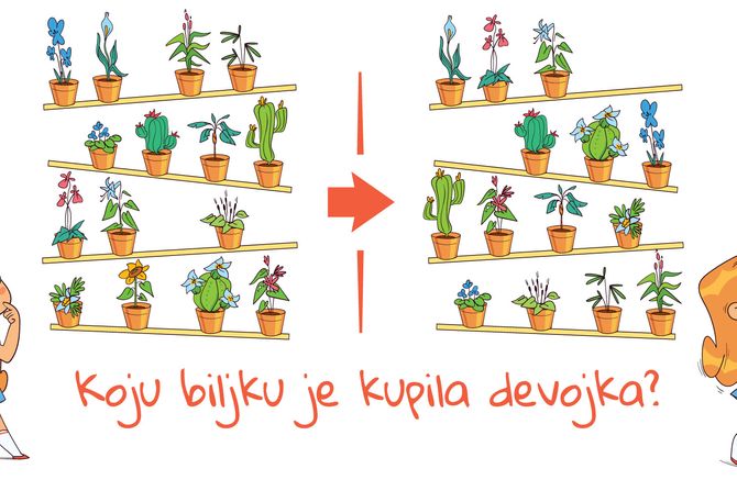 Skrivalica, cvet Skrivalica, cvet