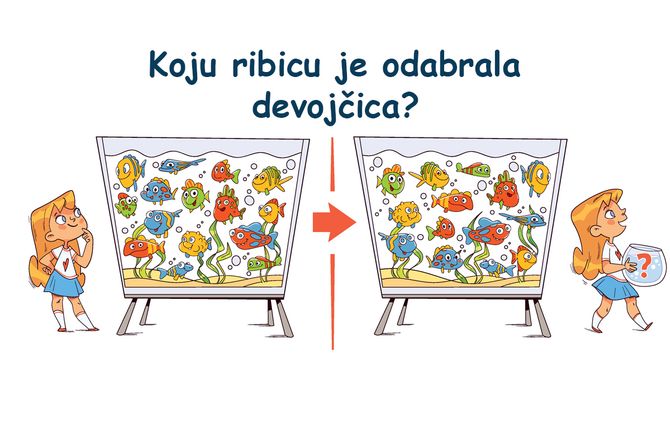 Skrivalica test ribica riba akvarijum