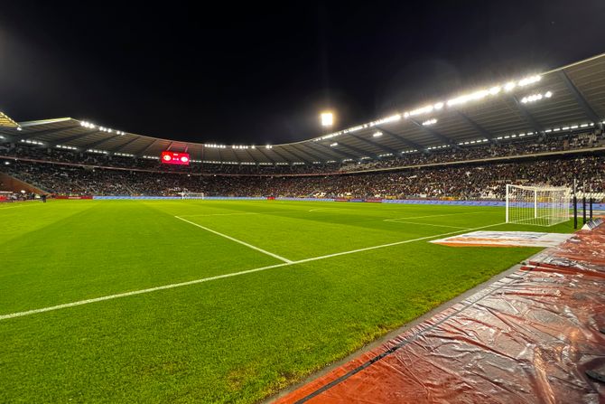 Navijači na utakmici Švedska - Belgija stadion