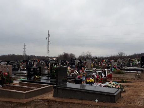 Niško Novo groblje Aleja zaslužnih građana