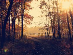 horoskop, zodijak, astrologija