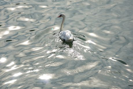 Beograd vremenska prognoza, jesen, jesenje vreme, ulica, šetači