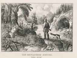 mozgalica test optička varka