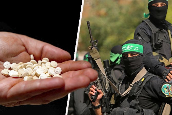 droga Captagon Izrael, Hamas