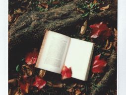 horoskop, zodijak, astrologija, knjiga, jesen