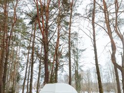 horoskop, zodijak, astrologija, kombi, zima, sneg