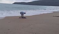More izbacilo mladunče delfina na plažu Jaz u Crnoj Gori: Mane mu odmah prišao, pogledajte snimak
