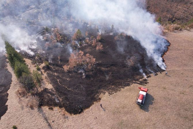 Veliki šumski požar Gornji Milanovac