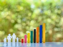 porodica demografija