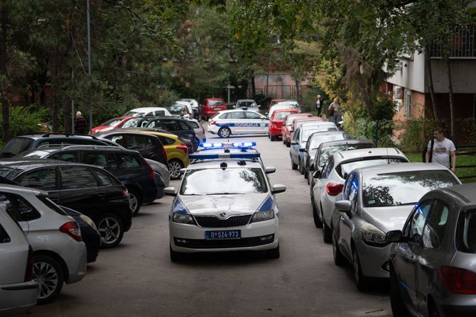 Samoubistvo, Konjarnik Samoubistvo, Konjarnik