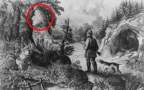 mozgalica test optička varka