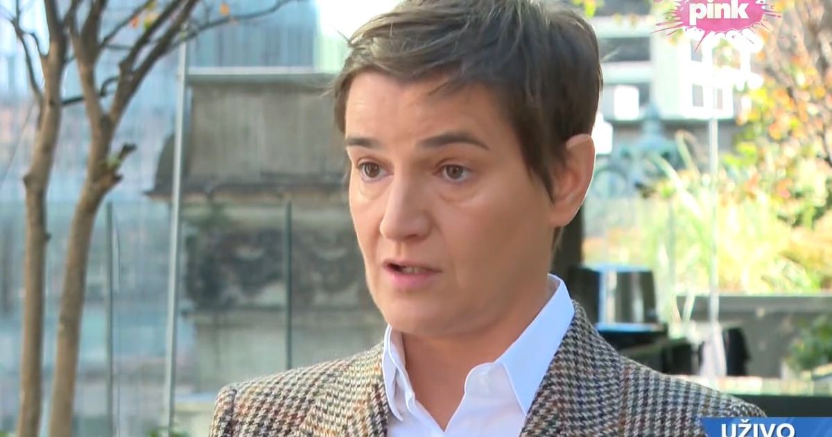 Ana Brnabić iz Ženeve: Jako dobri sastanci, izuzetno važno tržište nam je Egipat