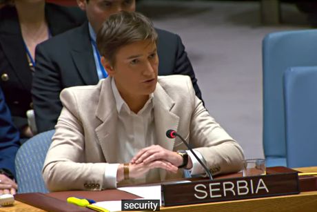 Sednica Saveta bezbednosti US Ana Brnabić