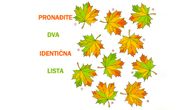 Jesenja mozgalica: Pronađite dva identična lista za 14 sekundi