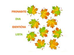 Optička iluzija test mozgalica listovi