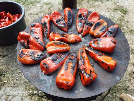 Ajvar, Venetin domaćinski ajvar od poslednjeg roda paprike