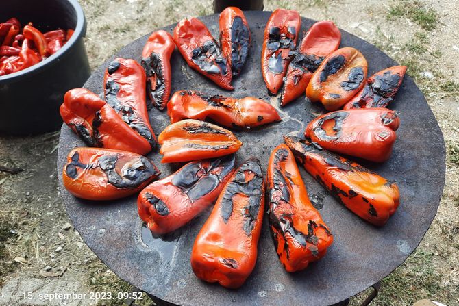 Ajvar, Venetin domaćinski ajvar od poslednjeg roda paprike