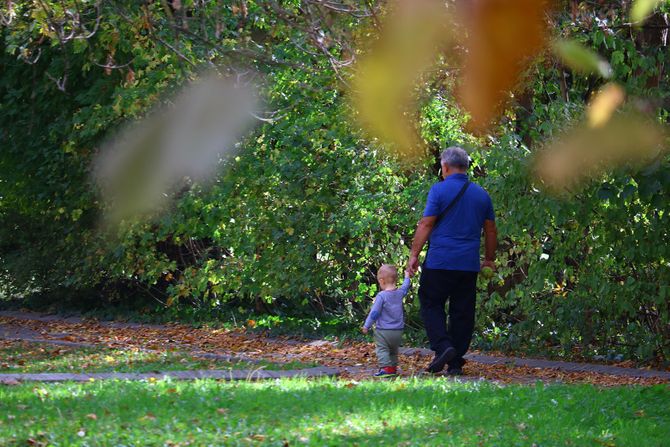 Jesen Topčiderski park