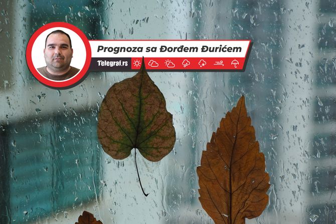 Jesen kiša lišće Jesen kiša lišće