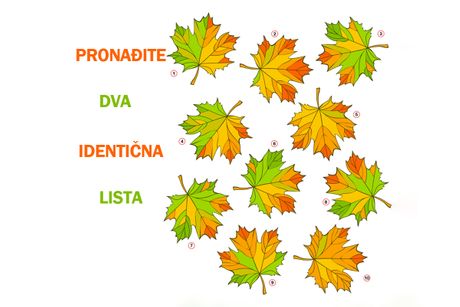 Optička iluzija test mozgalica listovi Optička iluzija test mozgalica listovi