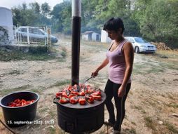 Ajvar, Venetin domaćinski ajvar od poslednjeg roda paprike