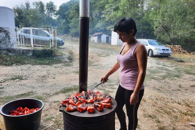 Ajvar, Venetin domaćinski ajvar od poslednjeg roda paprike