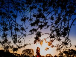 horoskop, zodijak, astrologija, drveće, ljubav, par