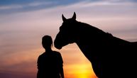 Šta znači sanjati konje: Da li je ovo vaša spiritualna životinja?