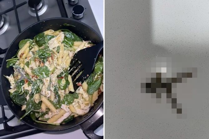 Žaba u pakovanju spanaca Žaba u pakovanju spanaca