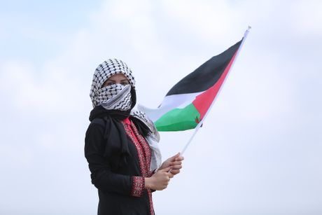 zastava, palestina