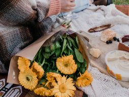 horoskop, zodijak, astrologija, piknik, cveće, vino, piće, izlet