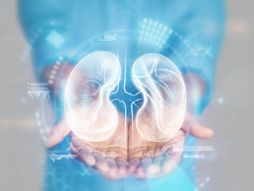 Bubrezi transplatacija donacija organa