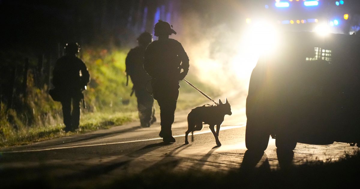 FBI upozorava: Mogući novi napadi u SAD, ekstremisti se sada služe ovom metodom