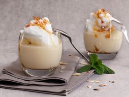 Šnenokle, plutajuće ostrvo