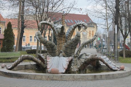 Irina Nepokojčicka, fontana Sremska Mitrovica