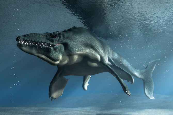 Morsko čudovište mosasaur