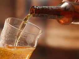 pivo